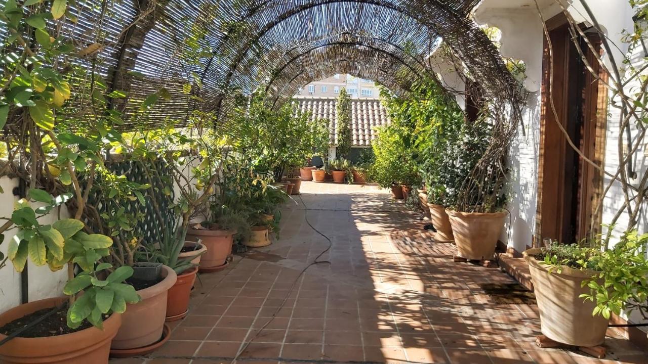 El Jardin De Wallada Κόρδοβα Εξωτερικό φωτογραφία